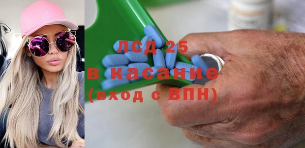 гашик Аркадак