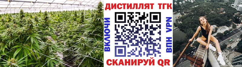 Дистиллят ТГК концентрат  MEGA зеркало  Гвардейск 